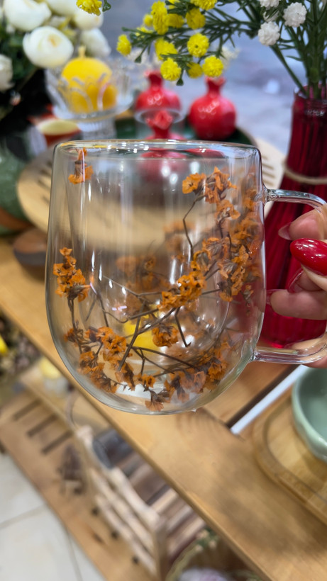 ماگ دو جداره پیرکس وارداتی