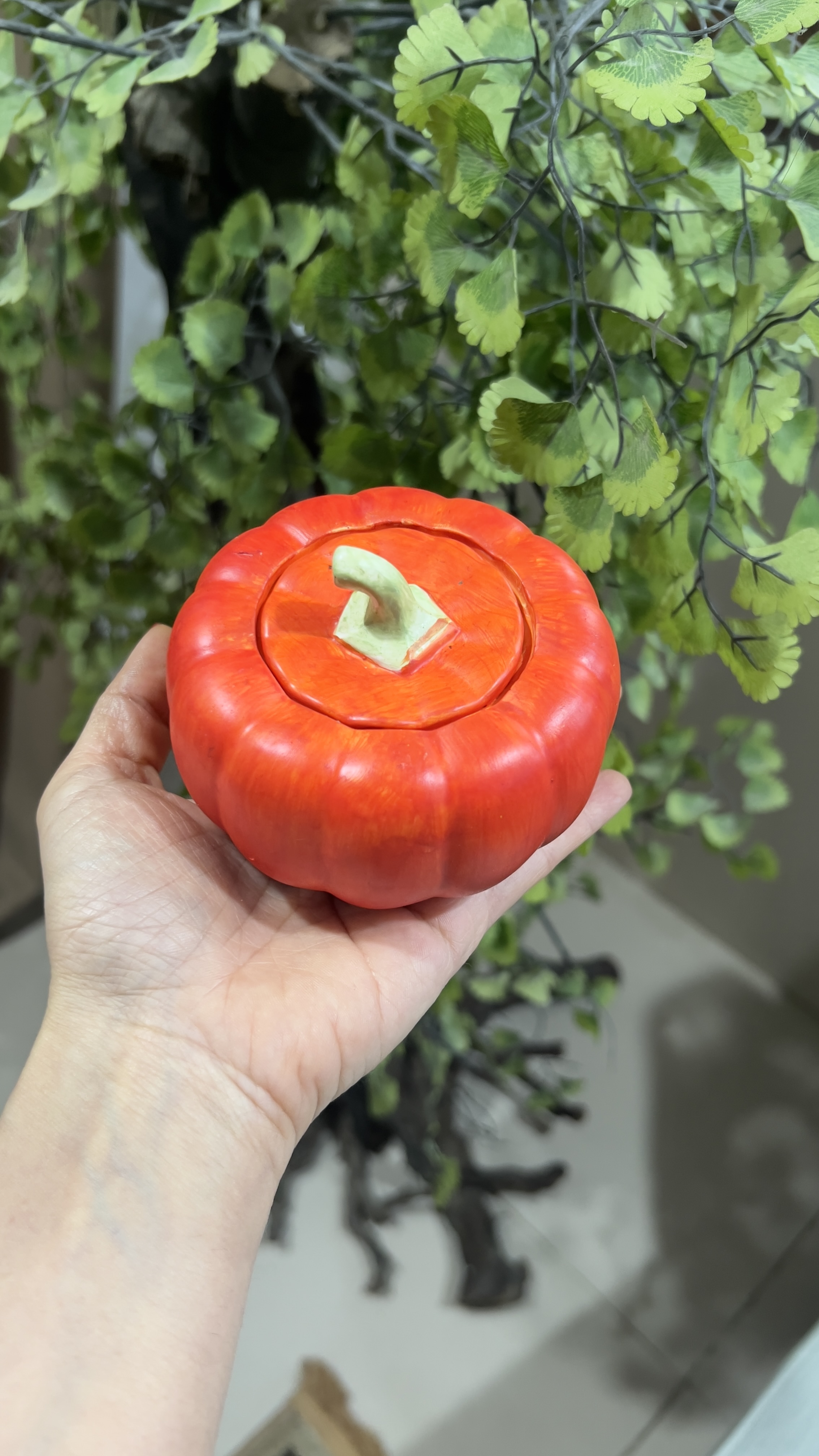 کدو دکوراتیو درب دار
